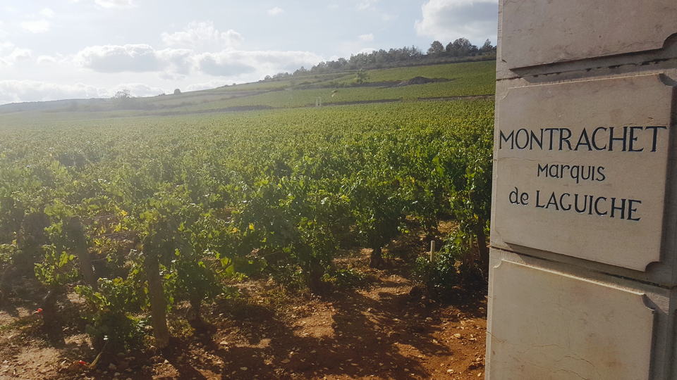 Joseph Drouhin “Monty and Moose” (Oct 2020)